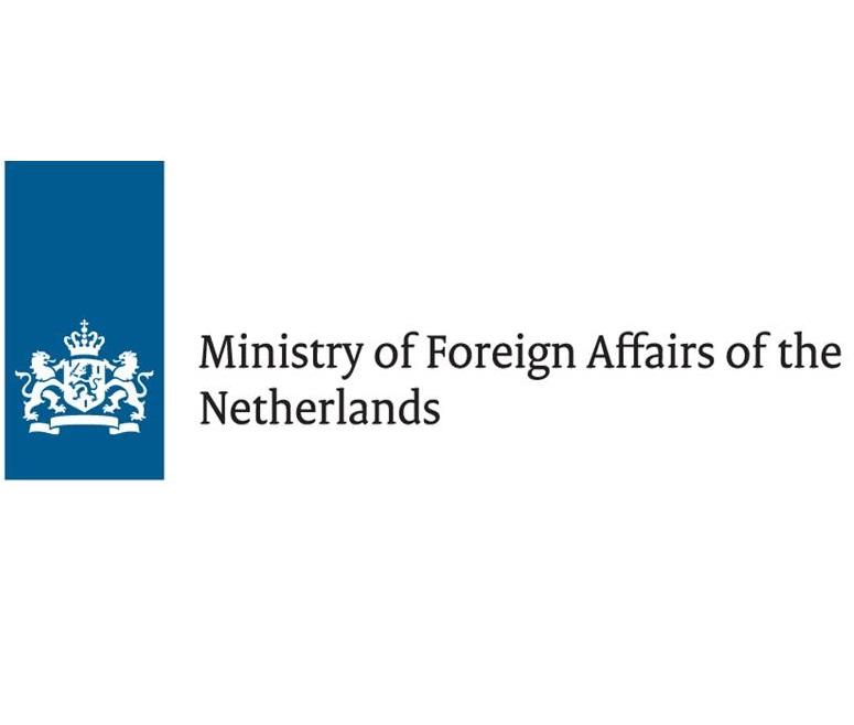 Presentation of the State of the Humanitarian System Report 5