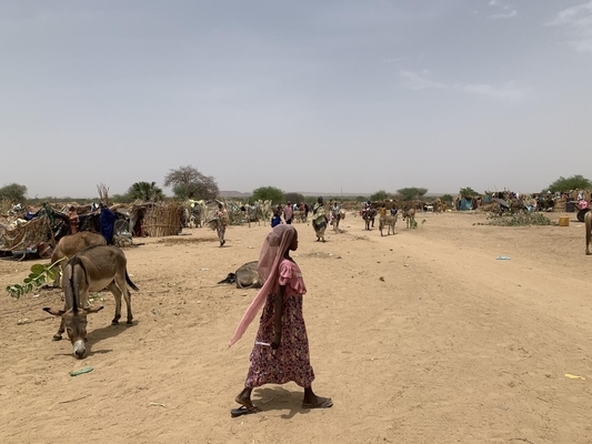 Sudan: consequences of a highly politicized conflict – and little international