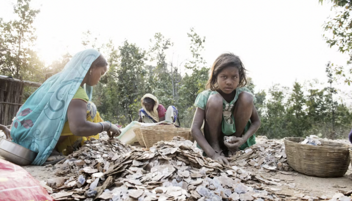Terre des Hommes - Living Income Engagement Framework