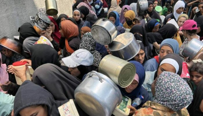 Gaza tragedy: impact and consequences