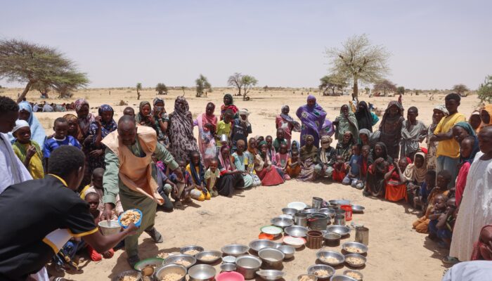 Sudan; opportunities and risks of supporting Emergency Response Rooms directly
