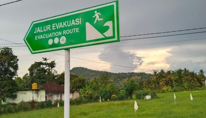 State-led crisis response