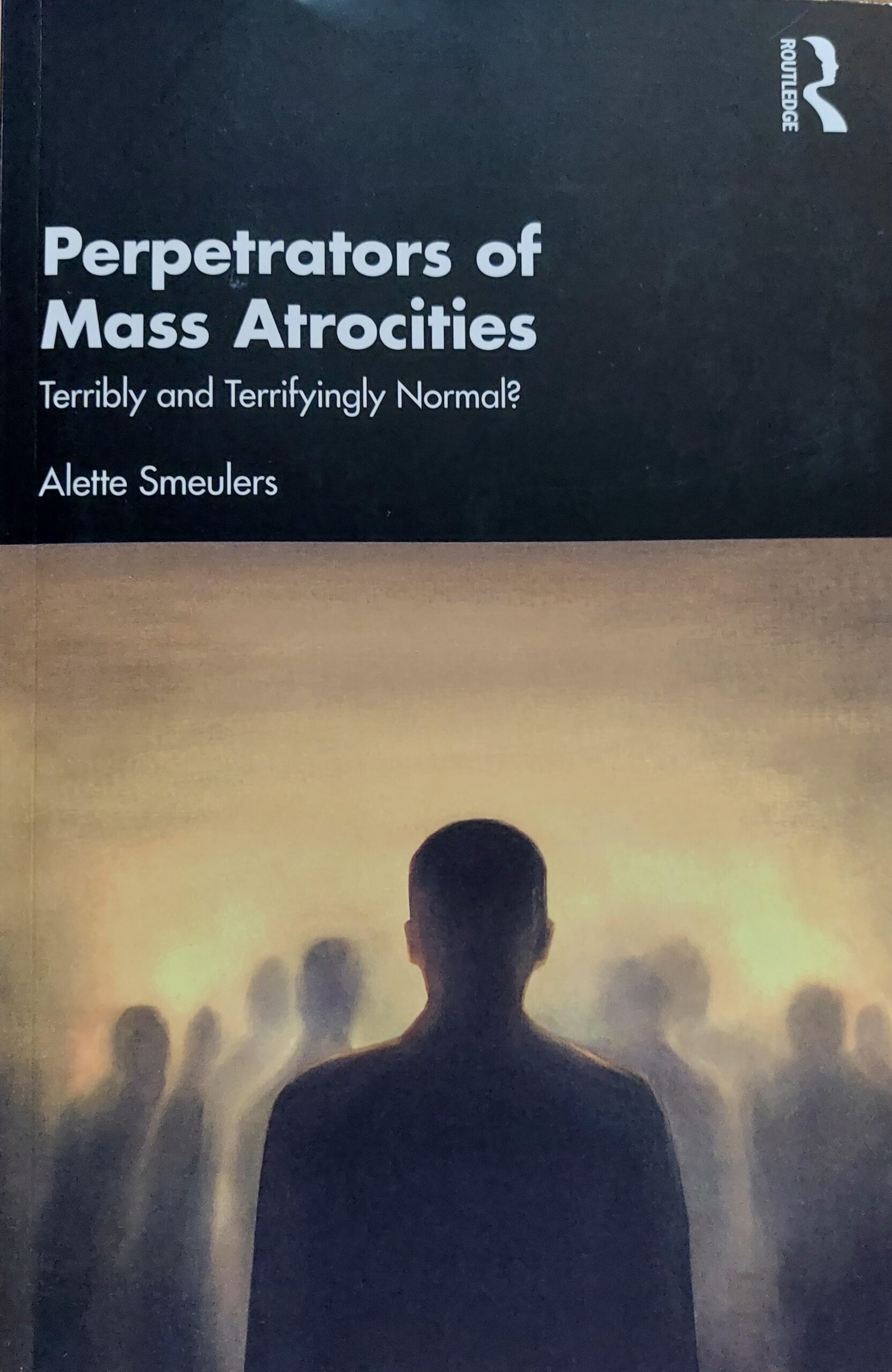 Perpetrators of mass violence and the wellbeing of humanitarians 14