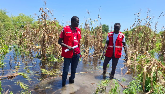 Anticipating and responding to disasters (2.0)